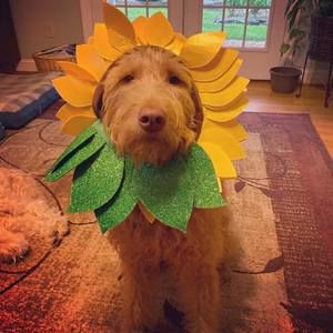 Meet your Posher, Jacqueline